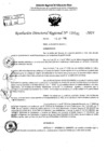 Vista preliminar de documento RDR 5541-2024