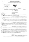 Vista preliminar de documento RDR 2791-2024