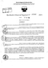 Vista preliminar de documento RDR 5545-2024