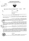 Vista preliminar de documento RDR 5547-2024