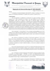 Vista preliminar de documento RGM0387-2024