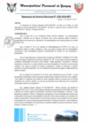 Vista preliminar de documento RGM0393-2024