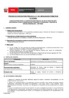 Vista preliminar de documento Perfil Convocatoria 075-2024