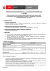 Vista preliminar de documento Perfil Convocatoria 077-2024