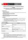 Vista preliminar de documento PERFIL de la CONVOCATORIA 058-2024