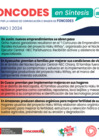 Vista preliminar de documento FONCODES EN SÍNTESIS - 54