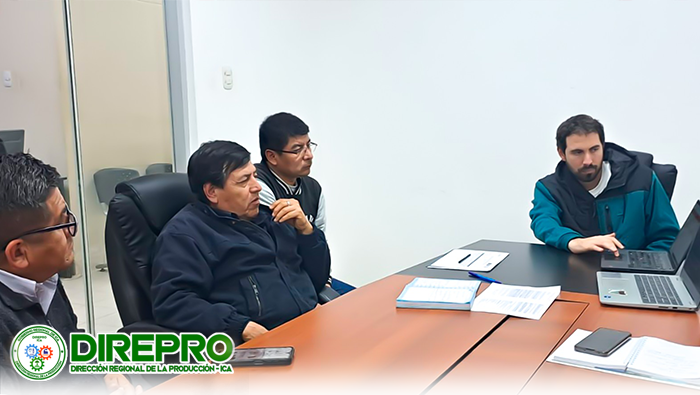 Reunión: El proyecto Humboldt II