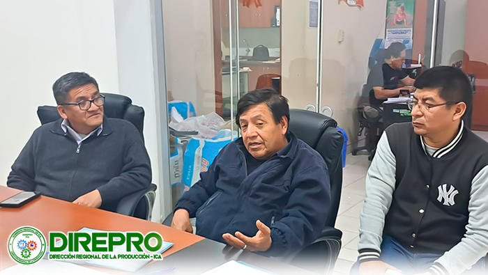 Reunión: El proyecto Humboldt II