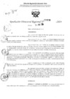Vista preliminar de documento RDR 3636-2024