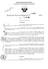 Vista preliminar de documento RDR 3637-2024