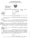 Vista preliminar de documento RDR 3641-2024