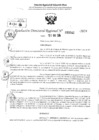 Vista preliminar de documento RDR 3642-2024