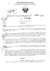 Vista preliminar de documento RDR 3645-2024