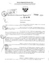 Vista preliminar de documento RDR 3646-2024