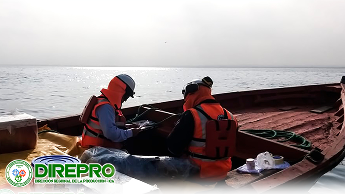 Visita guiada y segundo monitoreo participativo de calidad de agua de mar realizado por GCM Perú