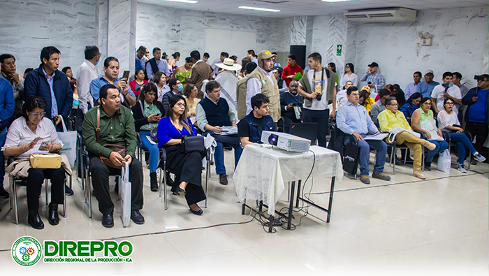 El LANZAMIENTO DE PROCOMPITE REGIÓN ICA 2024