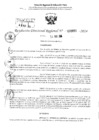 Vista preliminar de documento RDR 3651-2024
