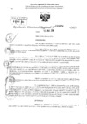 Vista preliminar de documento RDR 3654-2024