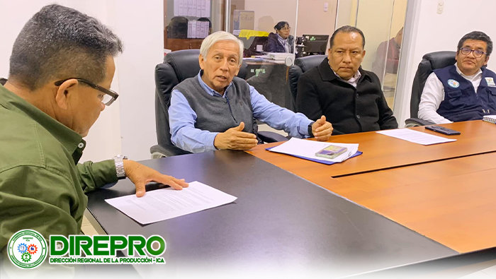 Reunión proyecto empresarial y el aspecto medio ambiental dentro del ordenamiento legal