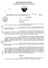 Vista preliminar de documento RDR 5054-2024