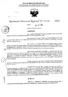 Vista preliminar de documento RDR 5056-2024
