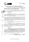 Vista preliminar de documento RDR 5059-2024