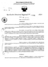 Vista preliminar de documento RDR 5060-2024
