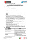 Vista preliminar de documento BASES - ABOGADO DFS