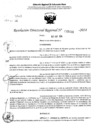 Vista preliminar de documento RDR 5066-2024