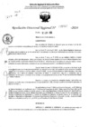 Vista preliminar de documento RDR 5067-2024