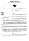 Vista preliminar de documento RDR 5068-2024