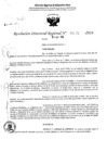Vista preliminar de documento RDR 5075-2024