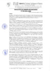 Vista preliminar de documento 336. RESOLUCIÓN DE COMISIÓN ORGANIZADORA N° 336-2024-UNAH