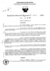 Vista preliminar de documento RDR 5077-2024