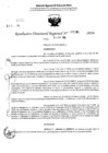 Vista preliminar de documento RDR 5080-2024