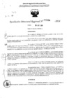 Vista preliminar de documento RDR 5084-2024