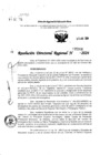 Vista preliminar de documento RDR 5088-2024
