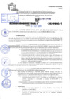 Vista preliminar de documento R.D 1706-2024
