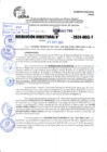 Vista preliminar de documento R.D 1705-2024