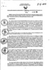 Vista preliminar de documento RGSR_2024_978