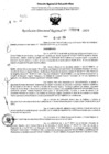 Vista preliminar de documento RDR 5096-2024