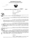 Vista preliminar de documento RDR 5099-2024