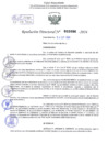 Vista preliminar de documento Resolución Directoral. N° 2096 - 2024 
