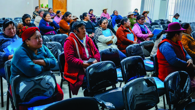 En el marco de su compromiso con la educación sanitaria y el cuidado de los recursos hídricos, Emsapuno S.A. organizó hoy una charla informativa dirigida a los comerciantes del mercado Laykakota. 