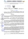 Vista preliminar de documento Resolución Directoral. N° 2102 - 2024