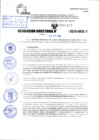 Vista preliminar de documento R.D 1677-2024