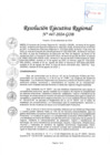 Vista preliminar de documento RER 447-2024-GOB
