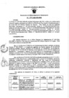 Vista preliminar de documento RORA N°1034-2024
