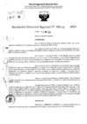 Vista preliminar de documento RDR 5285-2024