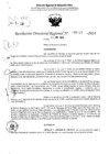 Vista preliminar de documento RDR 5289-2024